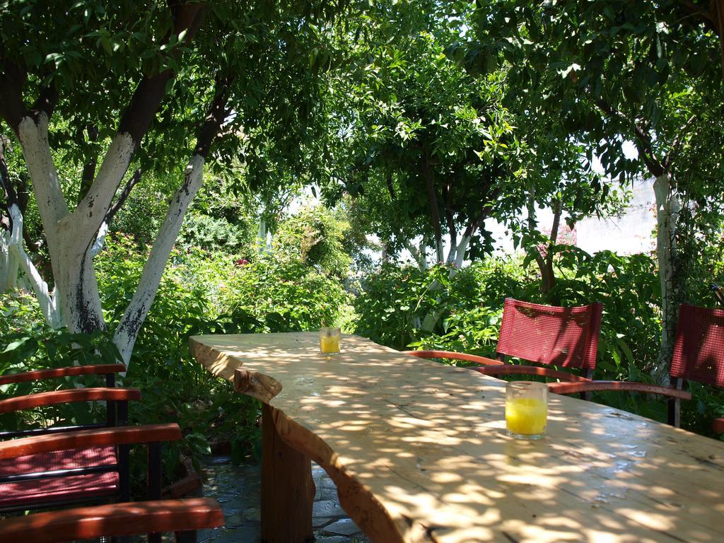 Εlegant Villa Liakos Pigí Exterior foto